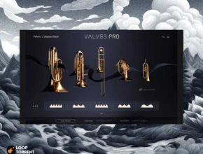 Native Instruments – Valves Pro (KONTAKT)