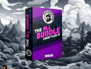 Black Rooster Audio – The ALL Bundle v2.6.6 VST, AAX x86 x64