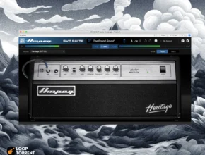 Yamaha Guitar Group – Ampeg SVT Suite v1.12 SAL, VST, VST3, AAX x64