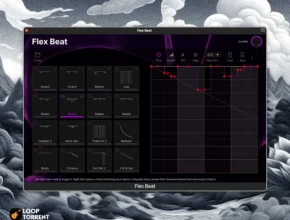 AKAI Professional – Flex Beat v1.1.0 VST, VST3 x64