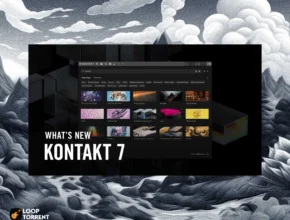 Native Instruments – Kontakt PORTABLE 7.7.1 STANDALONE, VST3i, VSTi, AAX x64