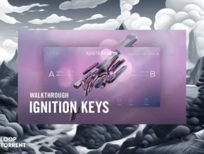 Native Instruments Play Series: IGNITION KEYS 2.0.0 (KONTAKT)