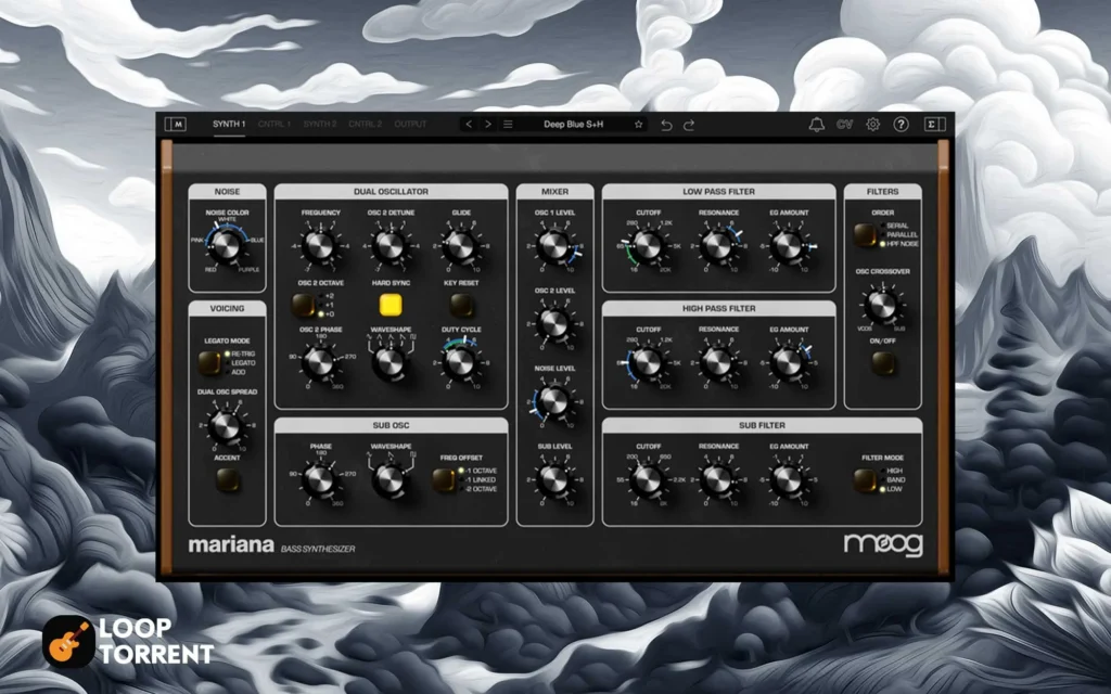 Moog Music Mariana 1.1.0 Standalone, VSTi 3, AAX x64