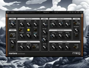 Moog Music Mariana 1.1.0 Standalone, VSTi 3, AAX x64