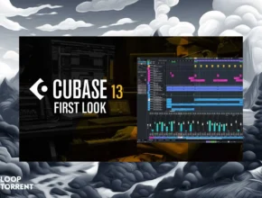 Steinberg Cubase Pro 13 v13.0.21 (x64) [01.2024, ENG + RUS]