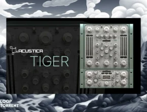 Acustica Audio Tiger Bundle 2023 REPACK VST, VST3, AAX x64 [02.02.2024]