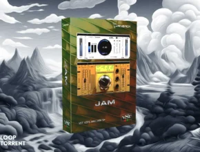 Acustica Audio Jam 2023 REPACK VST, VST3, AAX x64