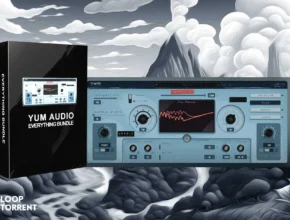 Yum Audio Everything Bundle v2024.02 VST3, AAX x64