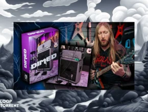 Ola Englund Dimed (WAV) [IR library]