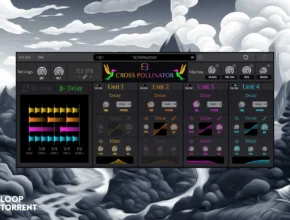 BDSP Cross Pollinator v1.0.3 WIN/MAC VST3, AU x64