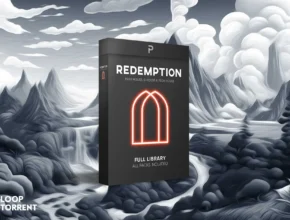 The Producer School Redemption (FLP, Serum Presets, MiDi, WAV)