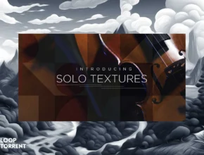 Heavyocity Solo Textures (KONTAKT)