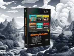 Applied Acoustics Systems Modeling Collection v2024.01 SAL, VSTi, VST3i, AAX x64