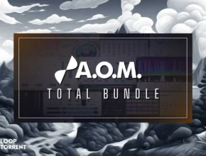 A.O.M Factory Total Bundle v1.17.2 VST, VST3, AAX, CLAP x64