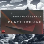 Wrongtools Woodwindulator (KONTAKT)