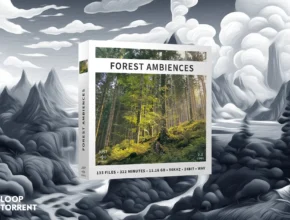 Just Sound Effects Forest Ambiences (WAV)