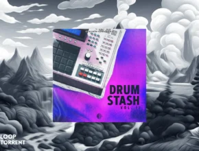 Steven Shaeffer Drum Stash Vol. 2 (WAV)