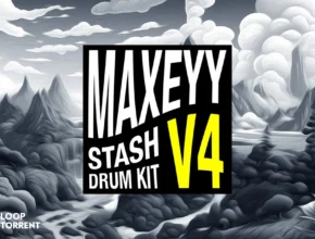 Maxeyy Stash V4 Drum Kit (WAV)