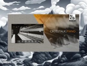 Native Instruments Crosstalk Piano (KONTAKT)