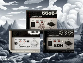 Bogren Digital AmpKnob BDH Bundle 2024.4 STANDALONE, VST3, AAX x64