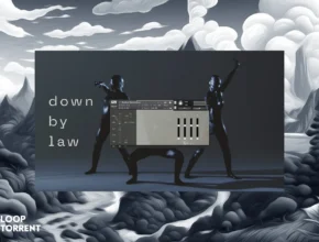 Wrongtools Down By Law (KONTAKT)