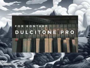 Wrongtools Dulcitone Pro (KONTAKT)