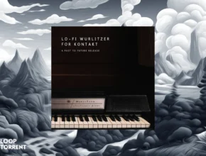 Past to Future Reverbs LO-FI WURLITZER (KONTAKT)