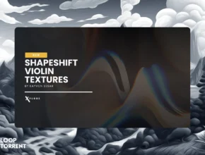 Inletaudio Shapeshift Violin Textures (KONTAKT)