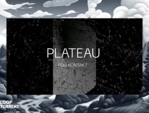 Wrongtools Plateau (KONTAKT)