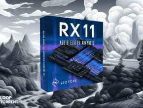 iZotope RX 11 Audio Editor Advanced 11.0.0.3858 (x64)