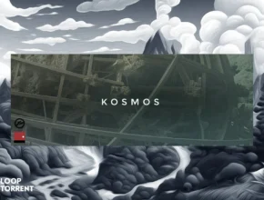 Wrongtools Kosmos (KONTAKT)