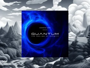 Emergence Audio Quantum 2.3.0 (KONTAKT)