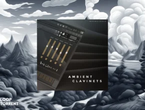 Wrongtools Ambient Clavinets (KONTAKT)