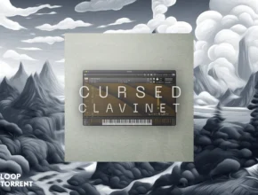 Wrongtools Cursed Clavinets (KONTAKT)