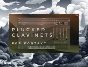 Wrongtools PLucked Clavinets (KONTAKT)