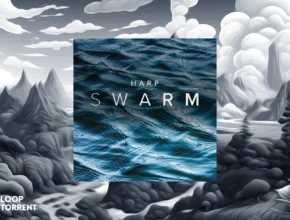 Spitfire Audio Harp Swarm (KONTAKT)