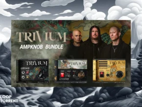 Bogren Digital – TRIVIUM Ampknob Bundle v2024.05 SAL, VST3, AAX x64