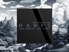 8Dio – Century Harps (KONTAKT)