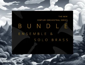 8Dio – Century Brass 2.0 Bundle (KONTAKT)