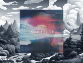 Westwood Instruments – Lost Synth (KONTAKT) Westwood Instruments – Lost Synth (KONTAKT)