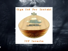 Past to Future Reverbs Giga Oud