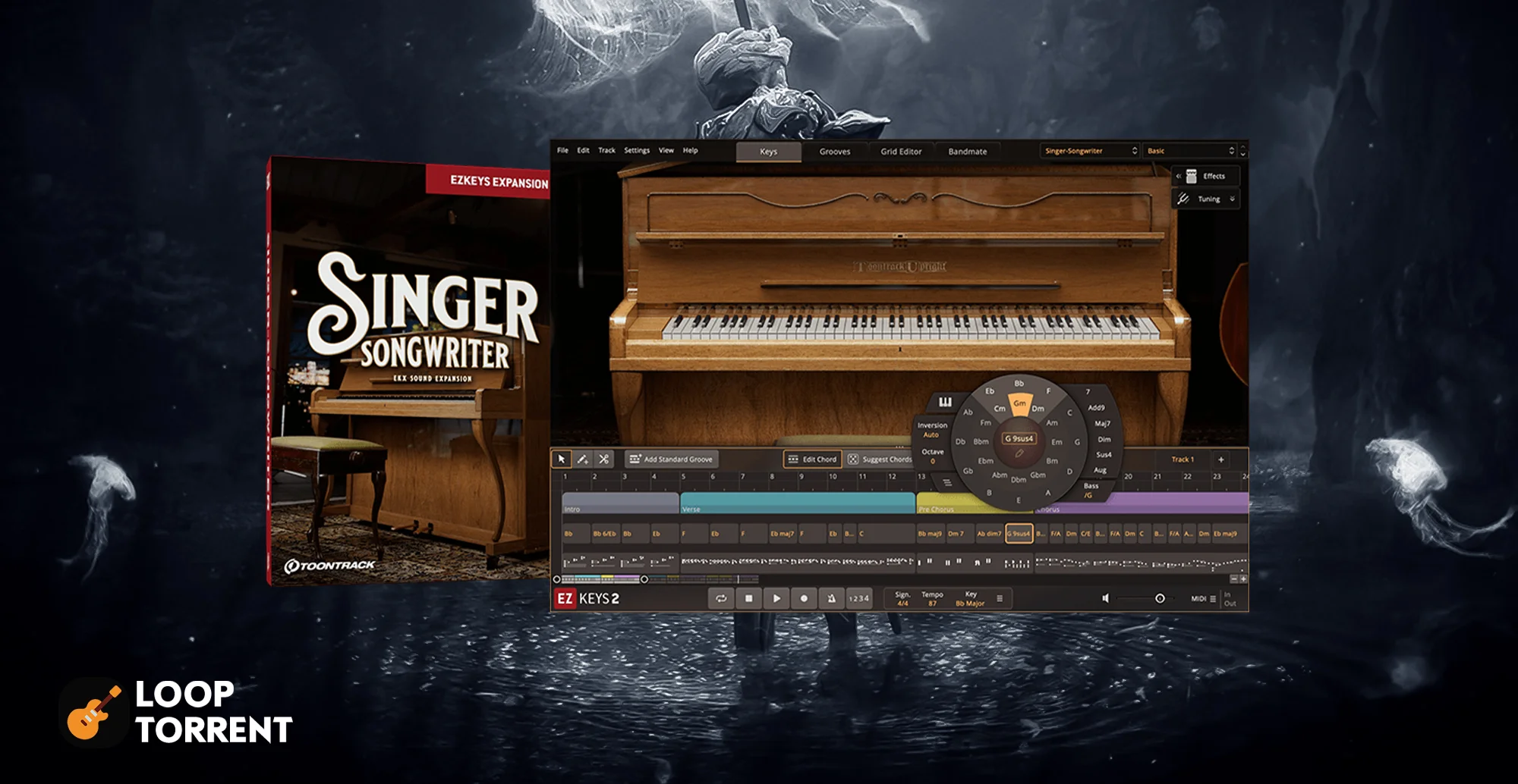 Toontrack – SINGER-SONGWRITER EX