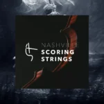 Audio Ollie Nashville Scoring Strings v1.1 KONTAKT Update ONLY