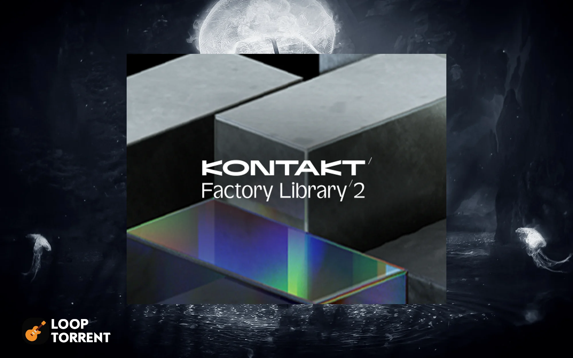 Native Instruments KONTAKT Factory Library 2 v1.3.0 Win/Mac