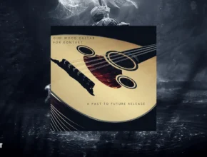 Past to Future Reverbs Oud Wood Guitar (Kontakt)