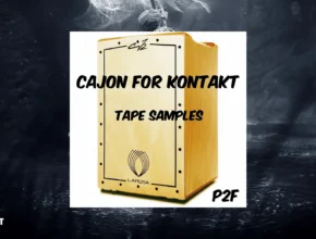 Past to Future Reverbs P2F Cajon (Kontakt)