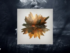 Audivor Terrastrate (Kontakt)