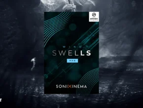 Sonixinema Wind Swells 1.0.2 (Kontakt)