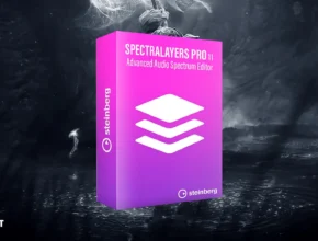 Steinberg SpectraLayers Pro 11.0.20.378 for Windows