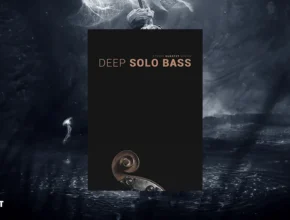 8Dio Studio Quartet Series: Deep Solo Bass (Kontakt)